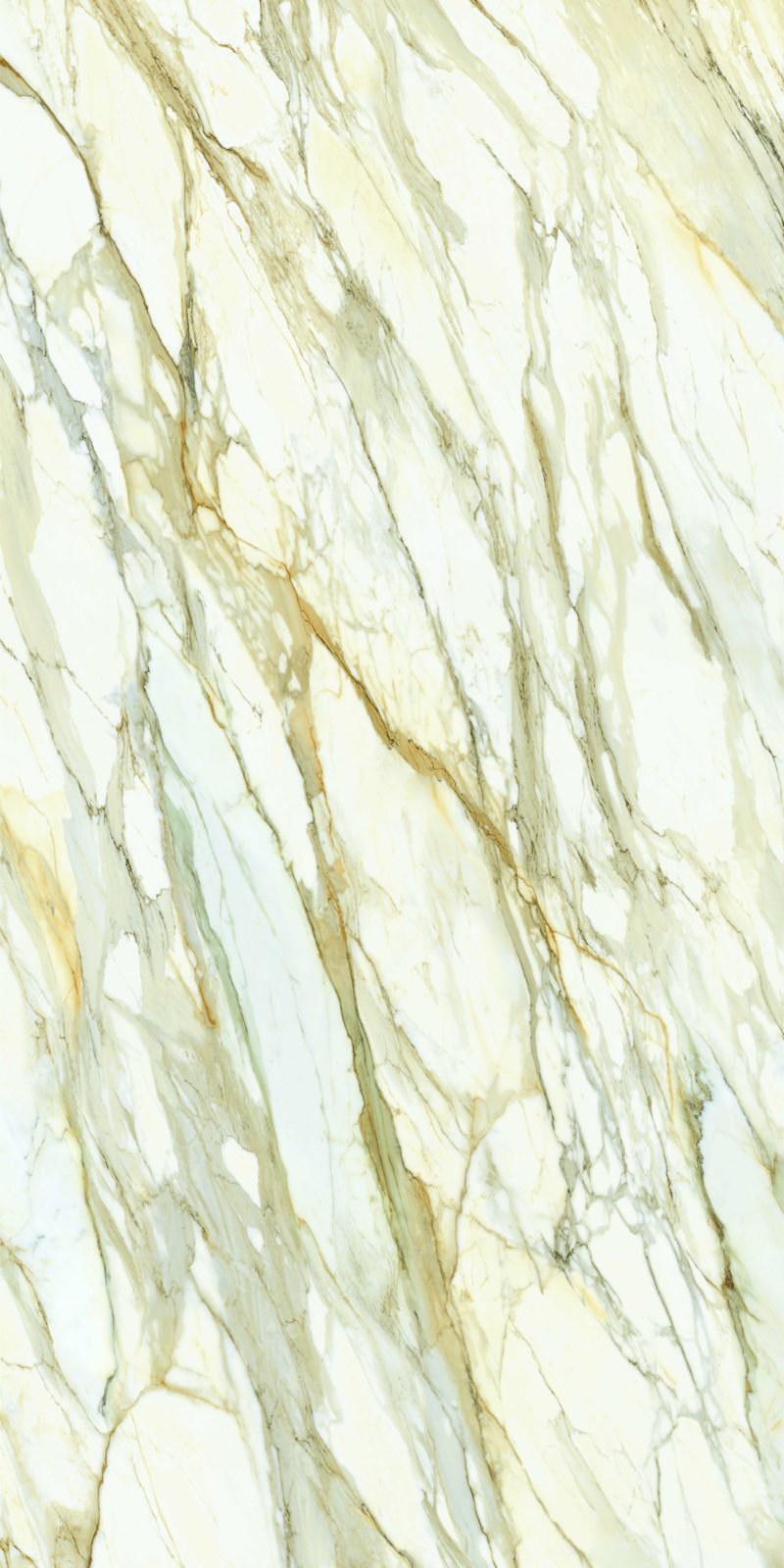 Calacatta Prestige